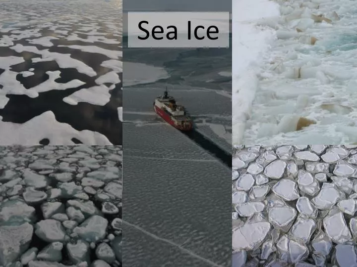 sea ice