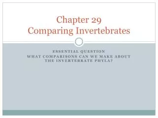 Chapter 29 Comparing Invertebrates