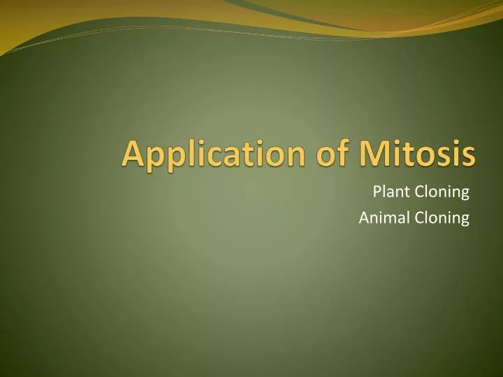 application of mitosis