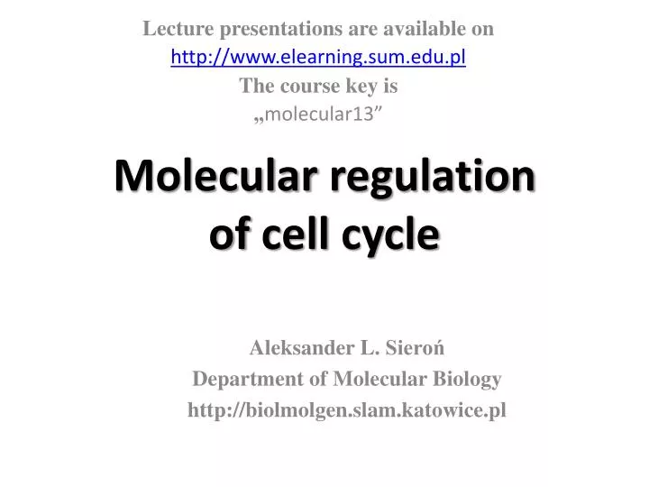 molecular regulation of cell cycle