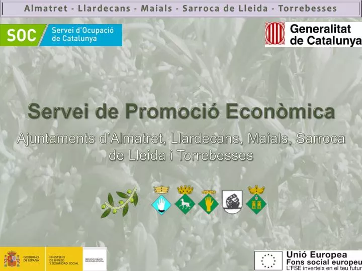 servei de promoci econ mica