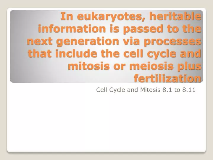 cell cycle and mitosis 8 1 to 8 11
