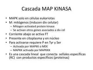 cascada map kinasa