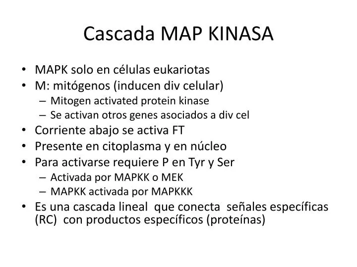 cascada map kinasa