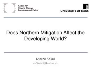 Does Northern Mitigation Affect the Developing World?
