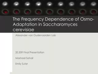 The Frequency Dependence of Osmo -Adaptation in Saccharomyces cerevisiae