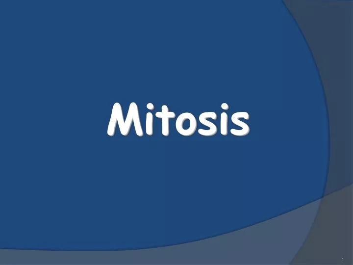 mitosis