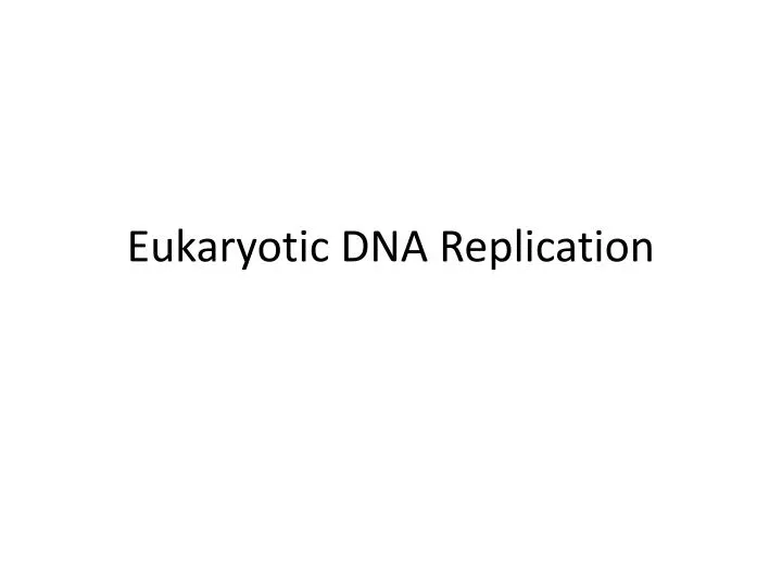 eukaryotic dna replication