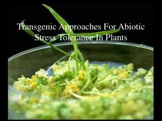 Transgenic Approaches For Abiotic Stress Tolerance In Plants