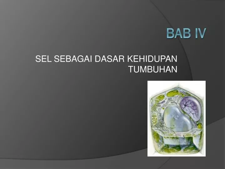 sel sebagai dasar kehidupan tumbuhan