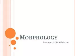 Morphology