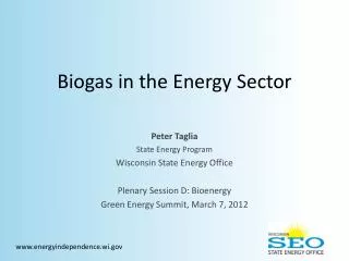 Biogas in the Energy Sector