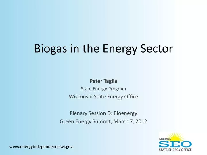 biogas in the energy sector