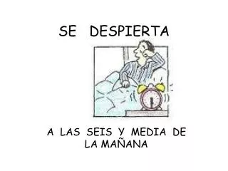 SE DESPIERTA