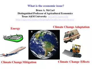 What is the economic issue?