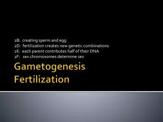Gametogenesis Fertilization