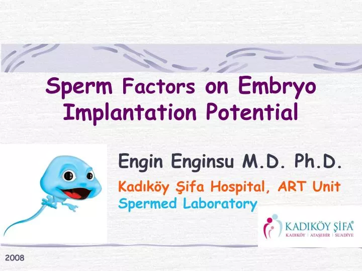 sperm factors on embryo implantation potential