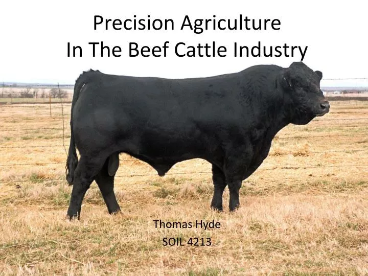 precision agriculture in the beef cattle industry