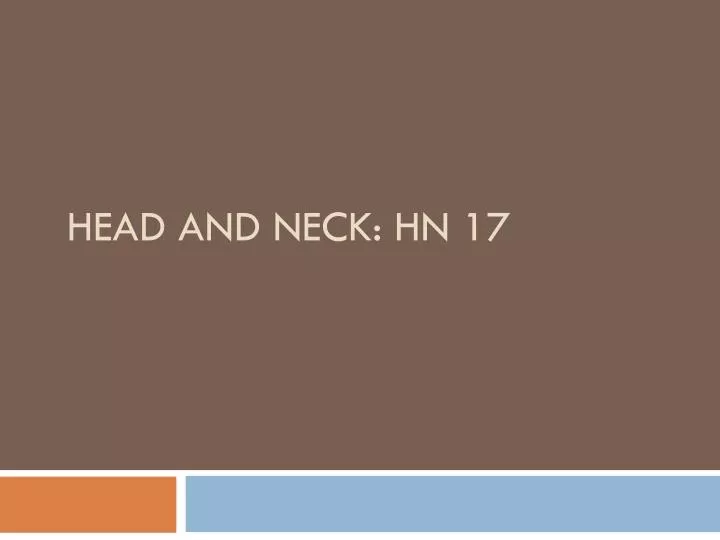 head and neck hn 17