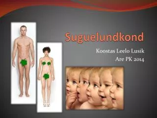suguelundkond