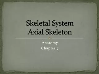 Skeletal System Axial Skeleton