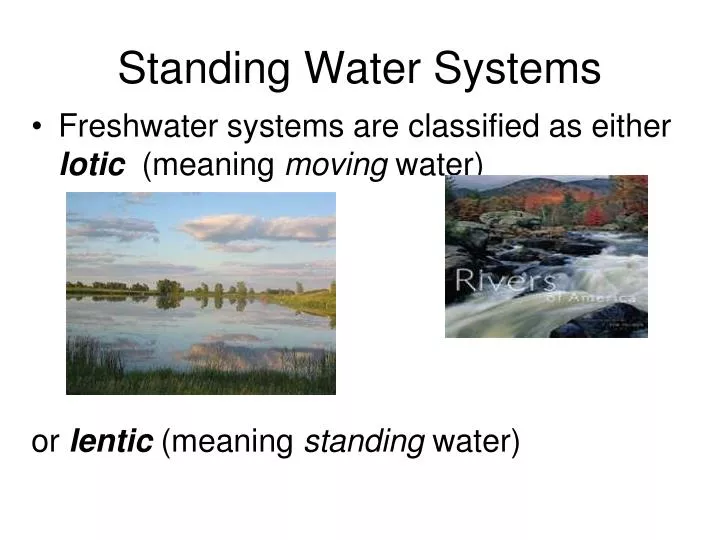 standing water systems