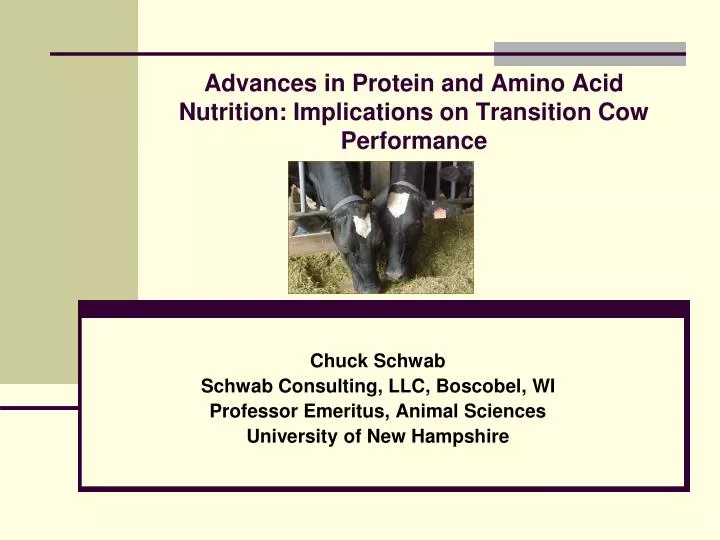 advances in protein and amino acid nutrition implications on transition cow performance