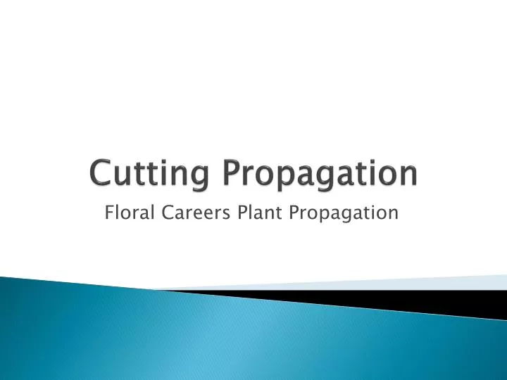 cutting propagation