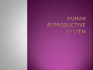 Human Reproductive system