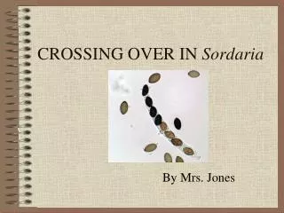 CROSSING OVER IN Sordaria