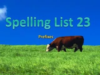 spelling list 23