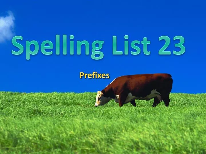 spelling list 23