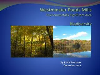 Westminster Ponds Mills Environmentally Significant Area Biodiversity