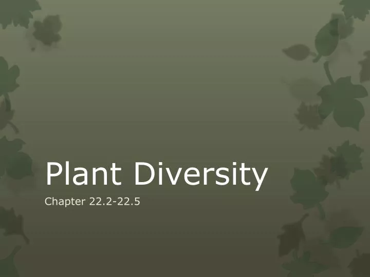 plant diversity