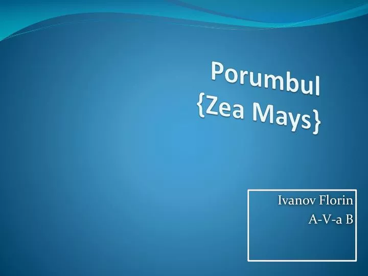 porumbul zea mays