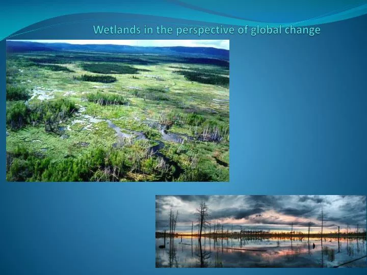wetlands in the perspective of global change