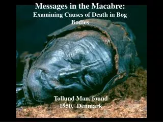Messages in the Macabre: Examining Causes of Death in Bog Bodies