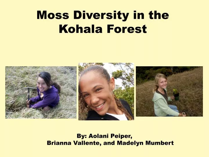 moss diversity in the kohala forest