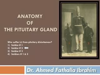 anatomy of the pituitary gland