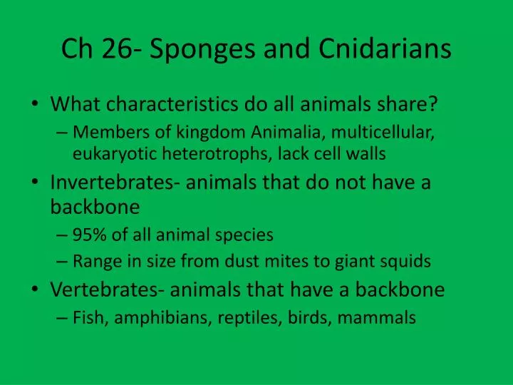 ch 26 sponges and cnidarians