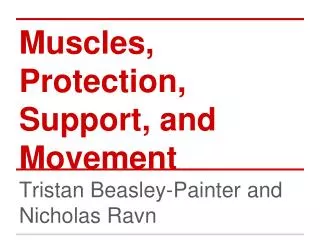Muscles, Protection, Support, and Movement