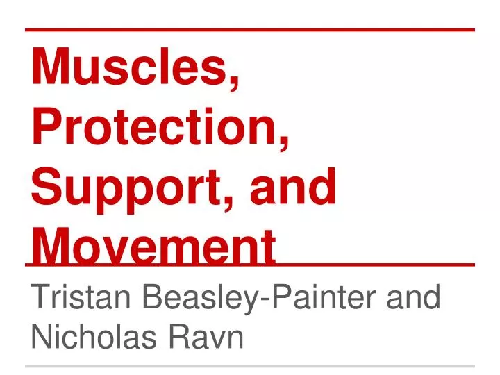 muscles protection support and movement