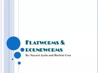 Flatworms &amp; roundworms