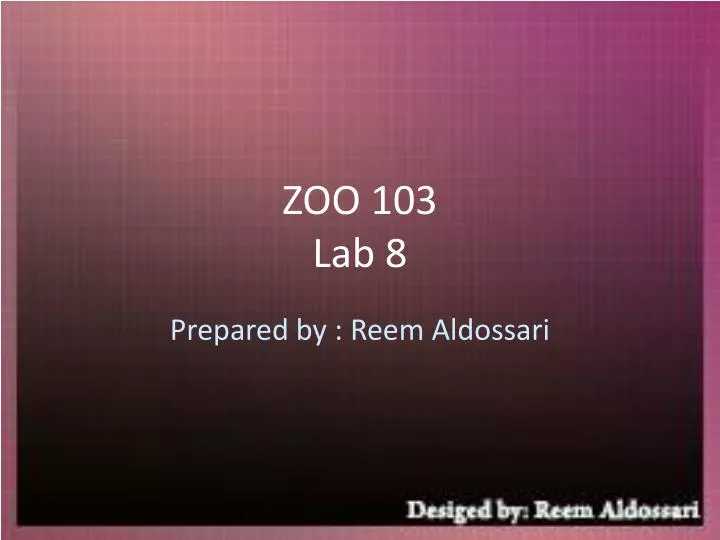 zoo 103 lab 8