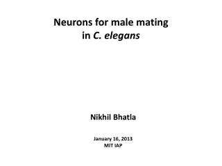 Neurons for male mating in C . elegans