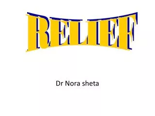 Dr Nora sheta