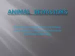 Animal behaviors - slide 1
