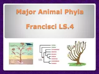 Major Animal Phyla Francisci LS.4