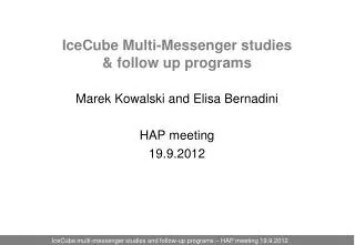 IceCube Multi-Messenger studies &amp; follow up programs