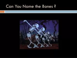 Can You Name the Bones ?